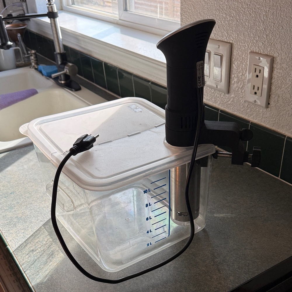 Black Precision Cooker Kitchen Appliance